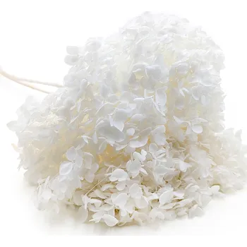 umělá květina mech-mech.cz Stabilizovaná hortenzie (Hydrangea Cabeza) - Bílá - Kytice