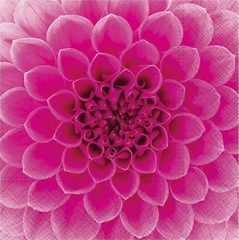 Papírový kapesník Ubrousek P 33x33 celorok SDL896013 2011175