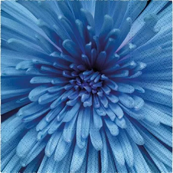 Papírový kapesník Ubrousek P 33x33 celorok SDL897005 2011176