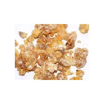 Čajovna Rymer vykuřovadla Kadidlo maydi somálsko 25g