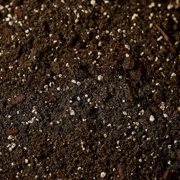 Substrát Náš substrát - Kapradiny 1L