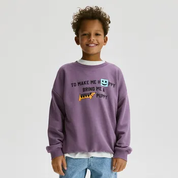 Chlapecká mikina Reserved - Mikina s potiskem - fialová - 933FJ-44X - 933FJ-44X-128