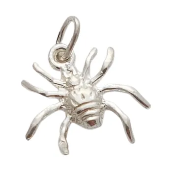 Přívěsek Stříbrný přívěsek pavouček
