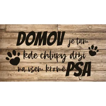 Obraz Dekorační obrázek na zavěšení pro pejskaře 13 x 24 cm - Domov psa
