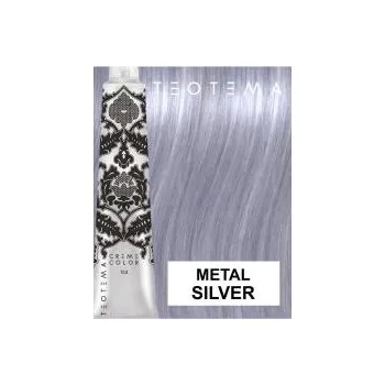 Barva na vlasy Barva na vlasy Teotema Metal Silver