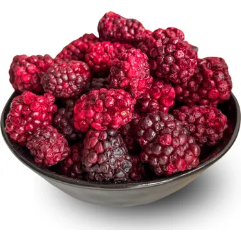 Sušené ovoce OSTRUŽINY LYOFILIZOVANÉ (SUŠENÉ MRAZEM) Hmotnost balení: 25 g