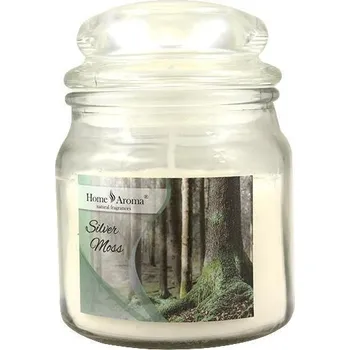 Svíčka Svíčka vonná dekorativní Silver Moss 200g
