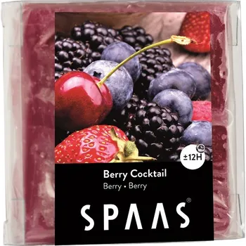 vonný vosk SPAAS Voskové náplně lesní směs