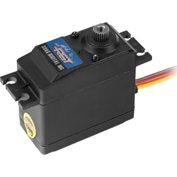 RC model auta RGT | Servo řízení 30 kg RGT-R86899