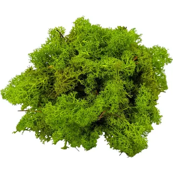 Severský mech 300g 01 světle zelený