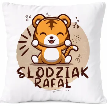 Polštář Dárek Polštář Amadeus pro syna s potiskem