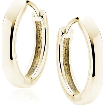 Náušnice Pozlacené kruhy 13 mm Ag 925/1000