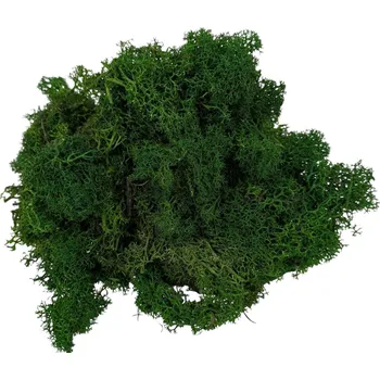 Severský mech 300g 07 tmavě zelený