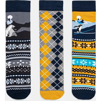 Pánské ponožky Bavlněné ponožky Medicine 3-pack pánské, více barev RW24.LGM913 vícebarevná MLA, vel. 39/42