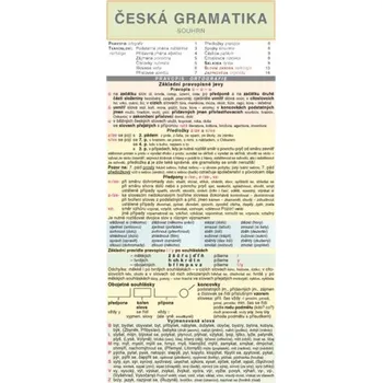 Český jazyk Česká gramatika – souhrn