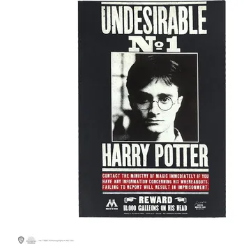 Zápisník Moriarty Art Project Sešit černý Undesirable N°1, Harry Potter