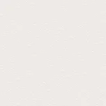 RAKO Betonico Outdoor DAR66790, dlažba, bílošedá, matná, 60 x 60 x 2 cm