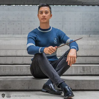 Karnevalový kostým Cinereplicas Svetr famfrpálový Havraspár, Harry Potter Velikost: Dětský