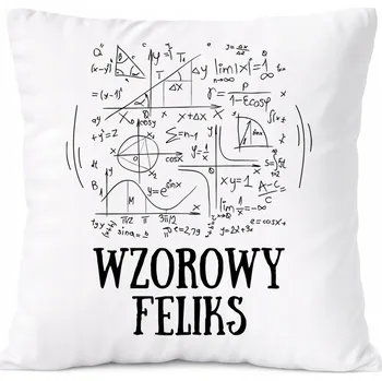 Polštář Polštář pro typáře jako Dárek s s potiskem a fotografií Bílá PoliDraw