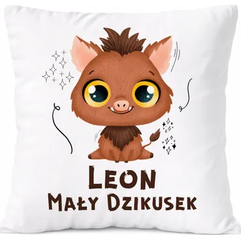 Polštář Dárek Polštář pro syna Alana s potiskem