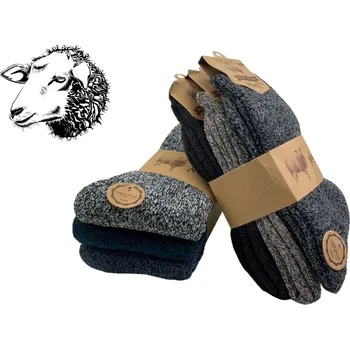 Pánské ponožky Pánské ponožky z ovčí vlny Thermo 3ks 44-47