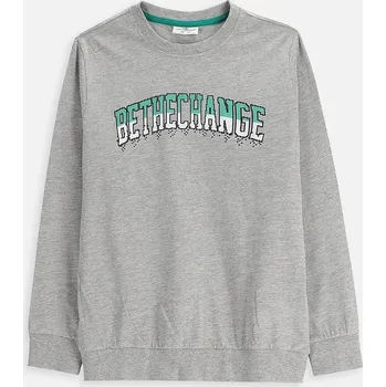 Chlapecké tričko Dětské tričko s dlouhým rukávem Coccodrillo šedá barva, s potiskem, EVERYDAY BOY A ZC5143103VBA 09X, vel. 140