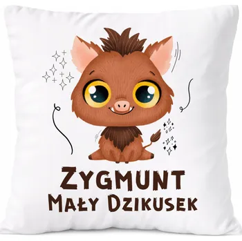 Obraz Polštář Dárek Pro Bruna Syna Dítěte s potiskem Fotkou