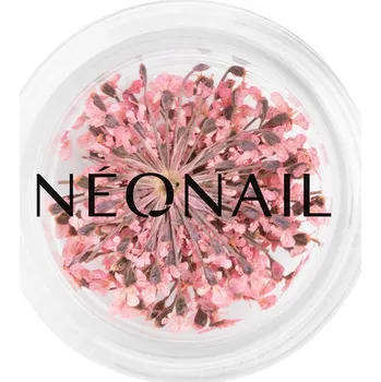 Přípravek na nehty Květinová dekorace 01 Pink