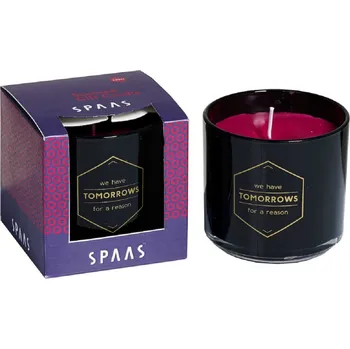 Svíčka SPAAS Svíčka ve skle v dárkovém boxu WINTER GLOW SPAAS