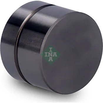 Ventil motoru Zdvihátko ventilu Schaeffler INA 420 0022 10