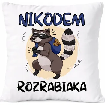 Polštář Dárek Polštář pro Alexandra, syna dítěte s potiskem