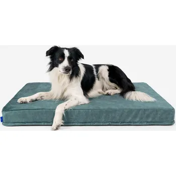 Pelíšek pro psa Matrace pro psa Petformed XXL, zelená