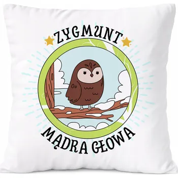 Obraz Dárek Polštář pro syna s potiskem v srpnu