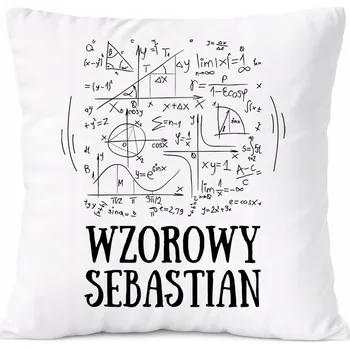 Polštář Dárek Polštář s motivem archeologa s potiskem bílý PoliDraw