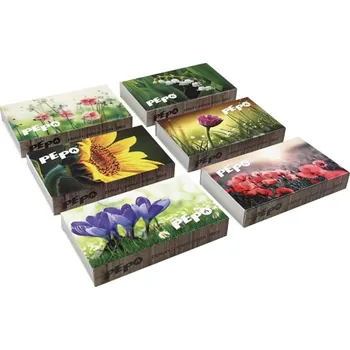 Severochema Zápalky dlouhé 95 mm, 45 ks v krabičce