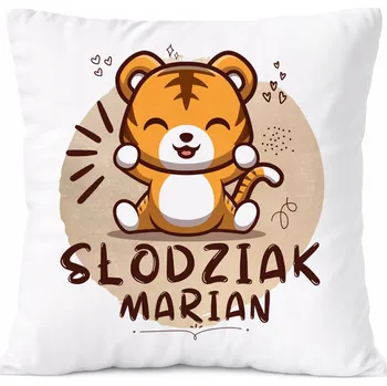 Obraz Dárek Polštář pro Jakuba, syna dítěte s potiskem