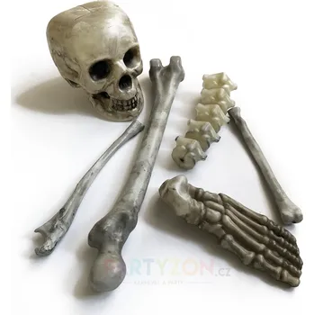 Karnevalový doplněk Sada kostlivec - kosti a lebka