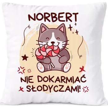 Polštář Polštář Dárek pro Arkadiusze Syna Dítě s potiskem s fotografií