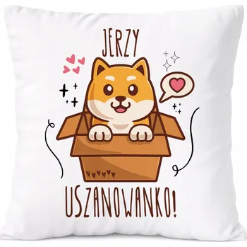 Polštář Polštář Dárek pro Alexeje Syna dítěte s potiskem s fotografií