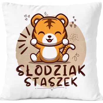 Polštář Dárek Polštář Amadeus pro syna s potiskem