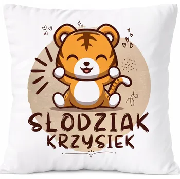 Polštář Dárek Polštář Amadeus pro syna s potiskem