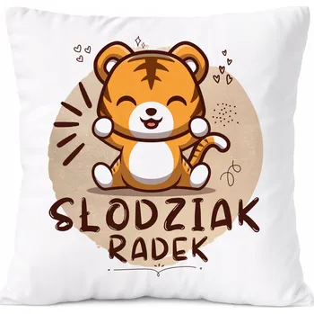 Polštář Dárek Polštář Amadeus pro syna s potiskem