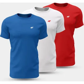 Pánské oblečení Pánské tričko (SET 3 triček) 4F 4FWSS25TTSHM3097-90S pánské xxl