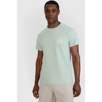 Pánské tričko Pánské tričko s potiskem 4F 4FWSS25TTSHM1980-47S m