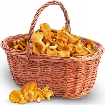 Obraz Košík na ovoce proutěný béžový