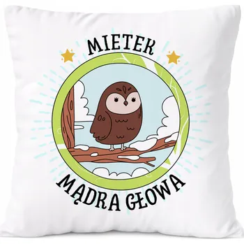 Obraz Dárek Polštář pro syna s potiskem v srpnu