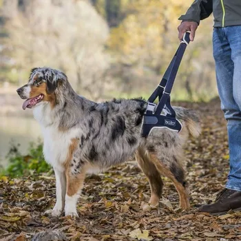Postroj pro psa Rehabilitační postroj pro psy na zadní nohy Balto [velikost XS]