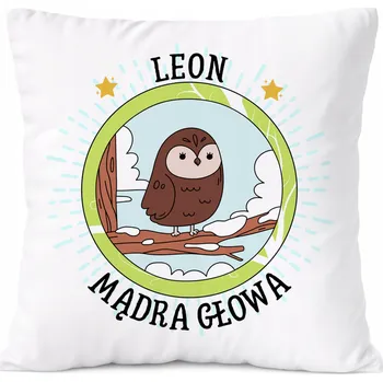 Obraz Dárek Polštář pro syna s potiskem v srpnu