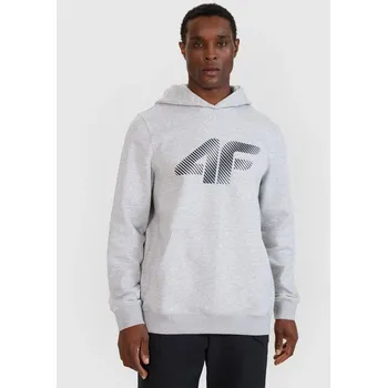 Pánská mikina Pánská mikina s kapucí 4F 4FWMM00TSWSM1766-27M s pánskými motivy 2XL
