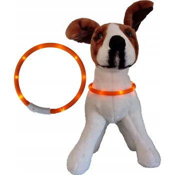 Obojek pro psa Silikonový svítící obojek pro psa Nunbell, velikost L